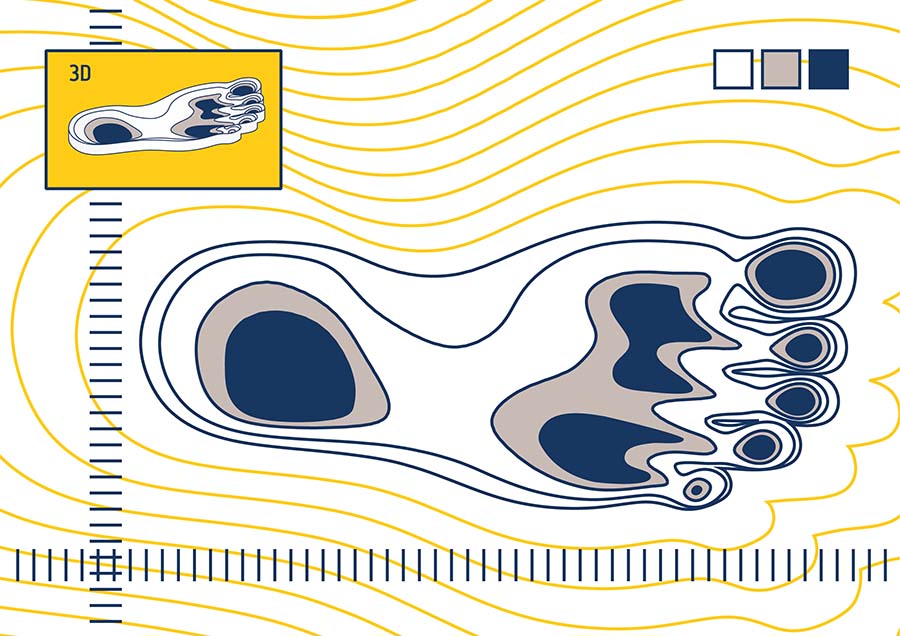 Darstellung eines Fußes mit farbigen Flächen zur Anzeige der Druckzonen bei einer 3D-Fußanalyse.